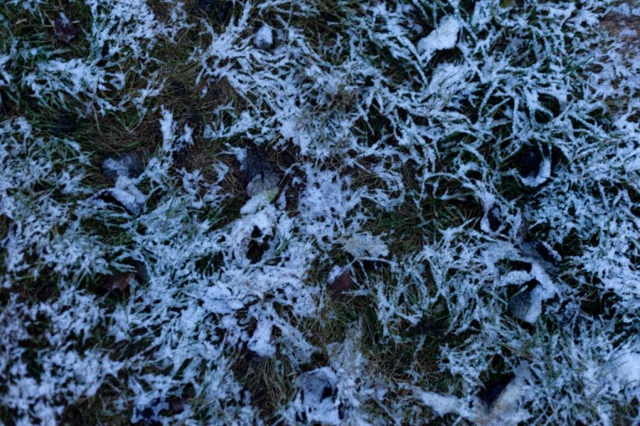 Жители Твери и области делятся фотографиями первого снега Жители Твери и области делятся фотографиями первого снега