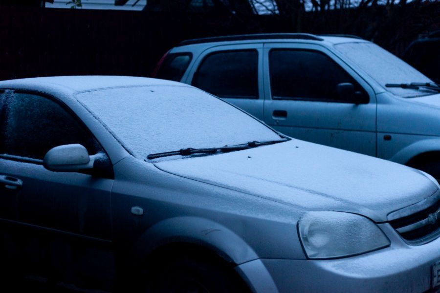 Жители Твери и области делятся фотографиями первого снега Жители Твери и области делятся фотографиями первого снега