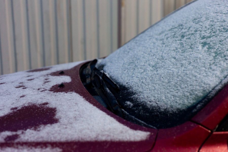 Жители Твери и области делятся фотографиями первого снега Жители Твери и области делятся фотографиями первого снега