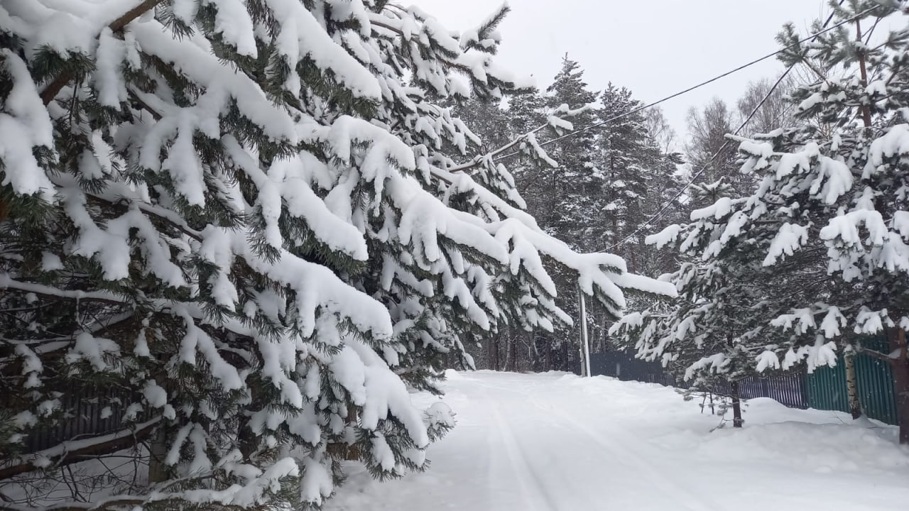 Известный синоптик рассказал, когда в Тверскую область придет настоящая зима Известный синоптик рассказал, когда в Тверскую область придет настоящая зима