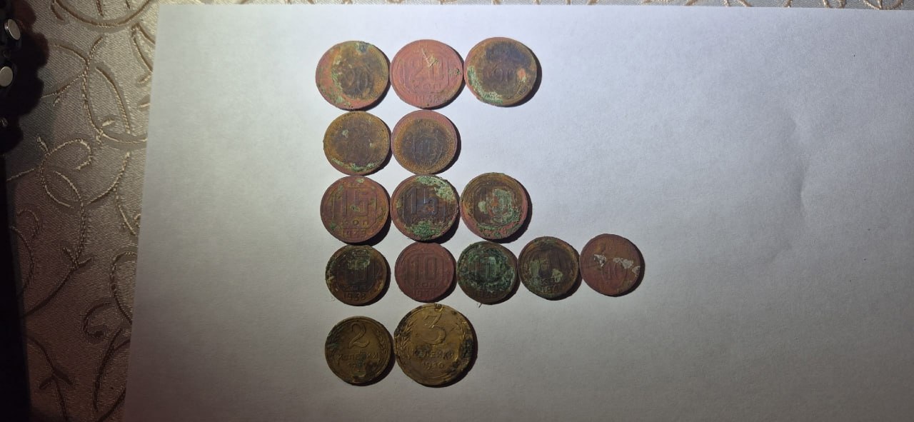 В Тверской области поисковики нашли останки красноармейца, медальон и горсть монет В Тверской области поисковики нашли останки красноармейца, медальон и горсть монет