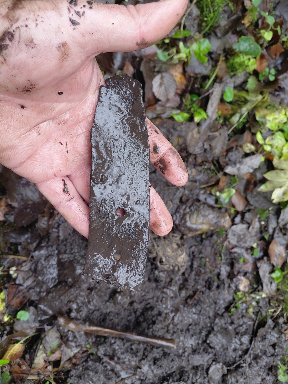В Тверской области поисковики нашли останки красноармейца, медальон и горсть монет