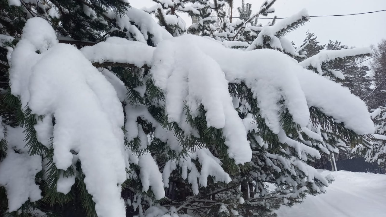 Известный синоптик рассказал, когда в Тверскую область придет настоящая зима Известный синоптик рассказал, когда в Тверскую область придет настоящая зима