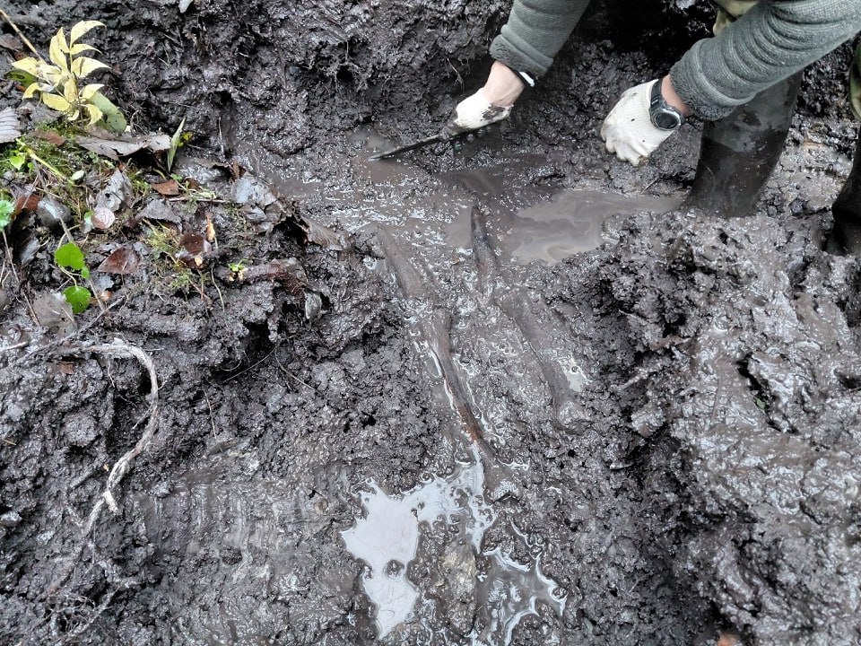 В Тверской области поисковики нашли останки красноармейца, медальон и горсть монет В Тверской области поисковики нашли останки красноармейца, медальон и горсть монет