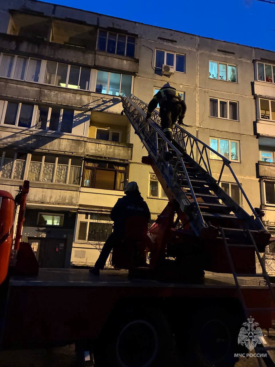 Малыш устроил «осаду» квартиры в Твери Малыш устроил «осаду» квартиры в Твери