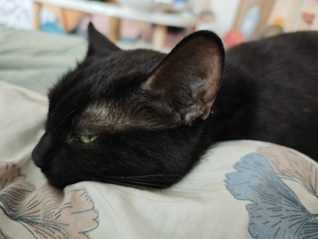 Про здоровье! Тверской врач рассказала, чем опасен невосстанавливающий сон Про здоровье! Тверской врач рассказала, чем опасен невосстанавливающий сон