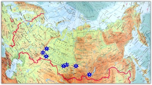 Рододендроны за Уралом: уникальный опыт садоводов