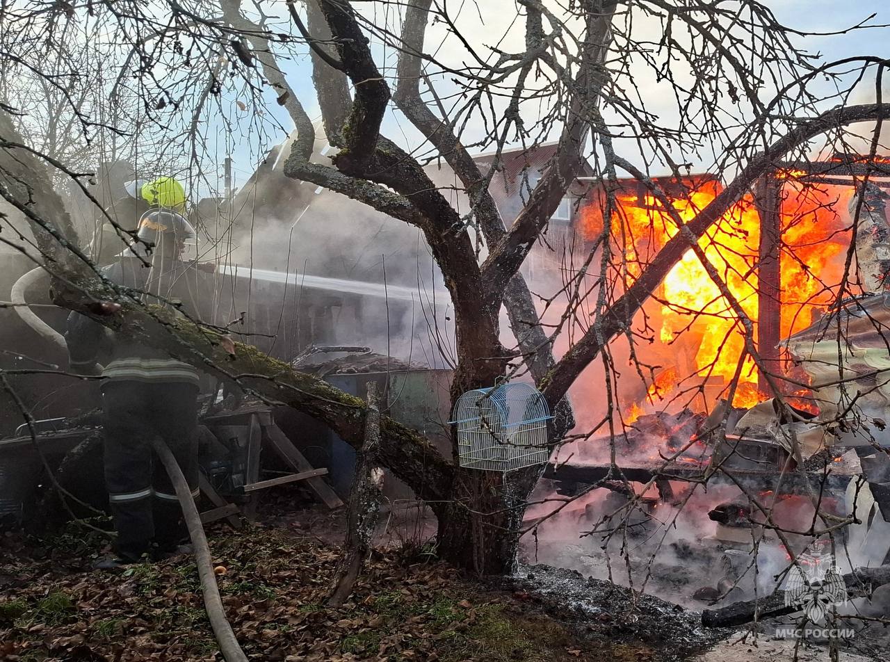 Отстояли соседние строения Отстояли соседние строения