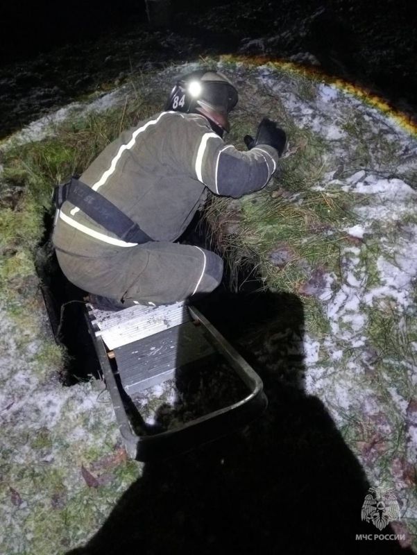   .  84    : .   .   ,           