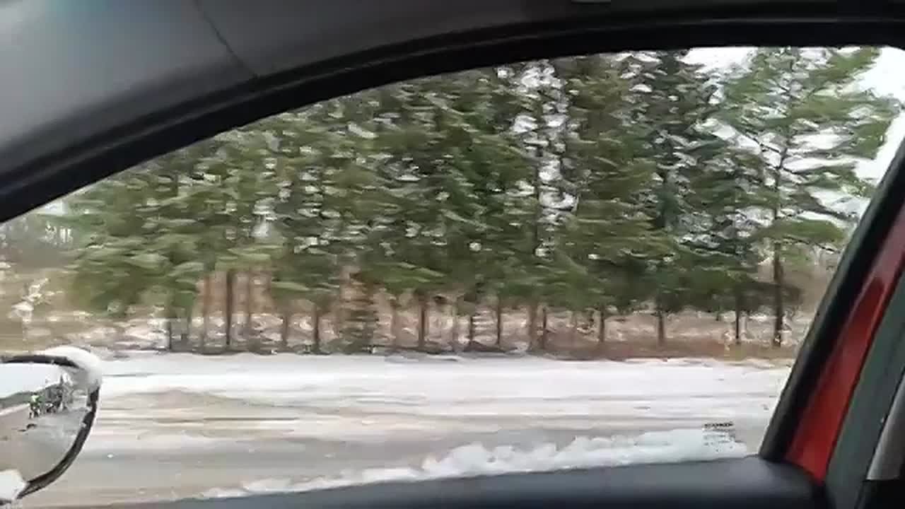 Опубликовано видео ДТП в Тверской области, где трактор разорвало пополам