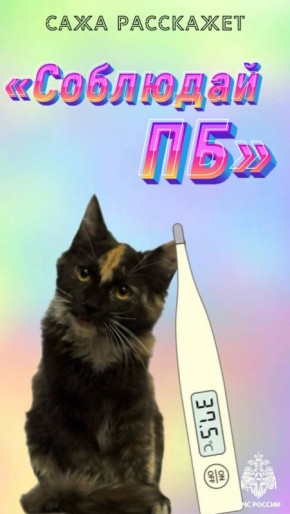 Не подведи Сажу - соблюдай пожарную безопасность!