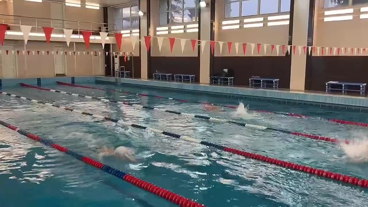 Тверские динамовцы определили сильнейших в плавании