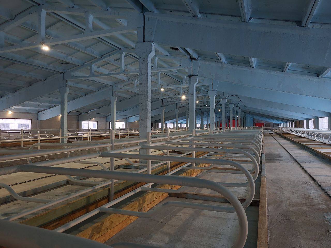 В селе Застолбье Рамешковского округа возрожден молочный комплекс, который ранее принадлежал колхозу «Вперед» В селе Застолбье Рамешковского округа возрожден молочный комплекс, который ранее принадлежал колхозу «Вперед»