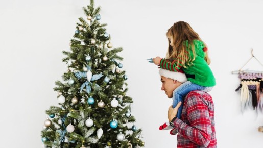 Живая ель не потеряет ни одной иголки: поможет особый «эликсир»