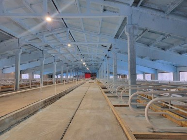 В селе Застолбье Рамешковского округа возрожден молочный комплекс, который ранее принадлежал колхозу «Вперед»