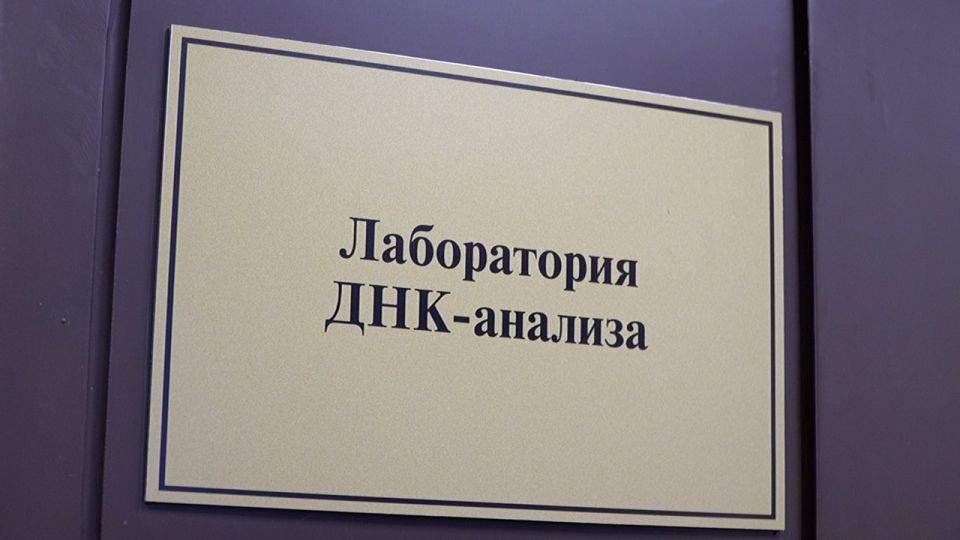 В Твери у домашнего котёнка нашли смертельно опасный вирус