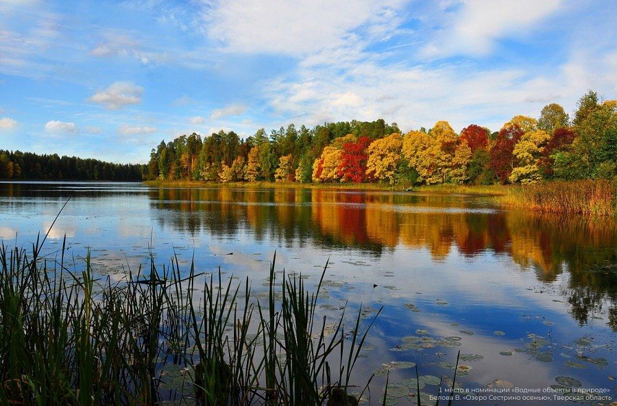 Осенние краски озера в Тверской области принесли фотографу победу в конкурсе