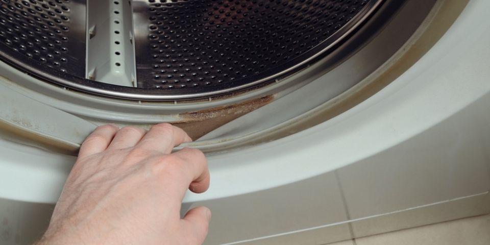 Как заменить уплотнительную резинку стиральной машины