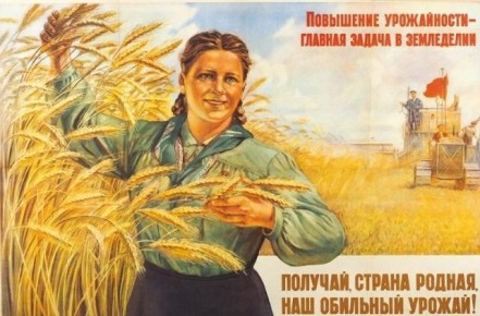 Почему бабушки выращивали больше: секреты урожайности без химии