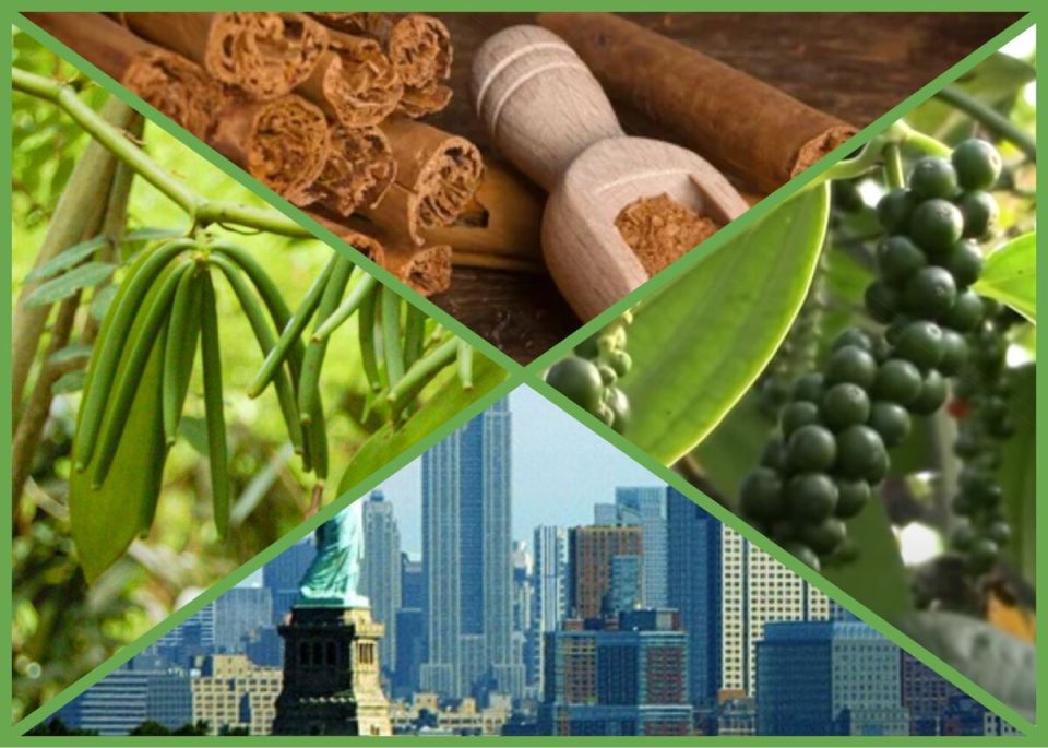 Драматичные истории специй, которые изменили мир