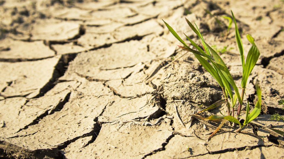 Вода как финансовый риск: как центробанки учат считать водные угрозы