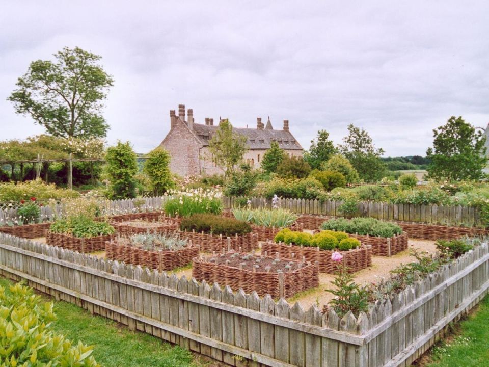 Как защитить растения от солнечного удара в жаркое лето