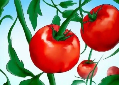 Как снизить температуру в теплице: три действенных метода без проветривания