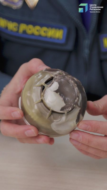 Заместитель начальника отдела надзорной деятельности и профилактической работы по городу Твери ГУ МЧС России по Тверской области майор внутренней службы Светлана Кудряшова напоминает: автономный пожарный извещатель уже...