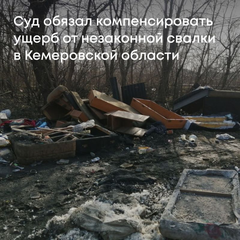 Суд поддержал требования Росприроднадзора и обязал Администрацию Ленинск-Кузнецкого городского округа возместить вред, причиненный почвам из-за незаконной свалки