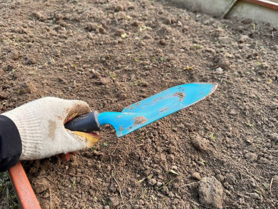 7 эффективных способов навсегда избавиться от сорняков на даче