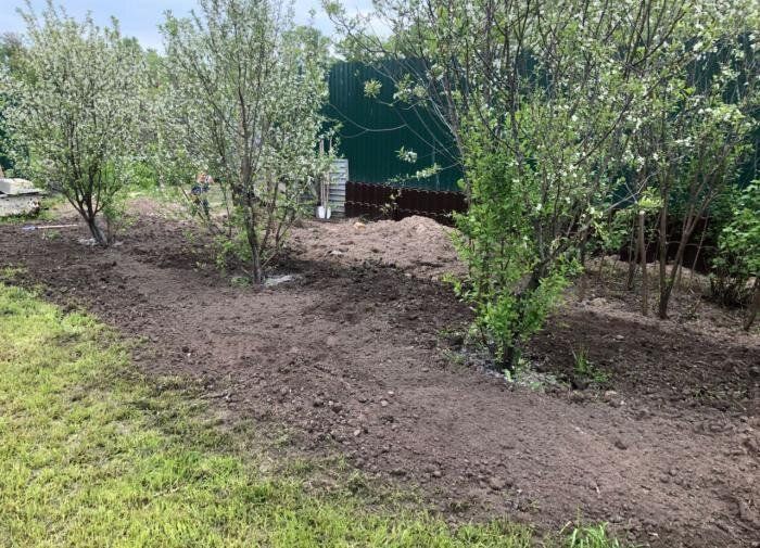 Как защитить ваши любимые растения от весенних заморозков