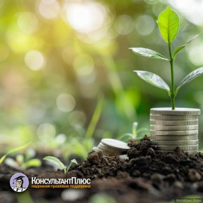 Новые правила для долгосрочных сбережений: что ожидает налогоплательщиков?