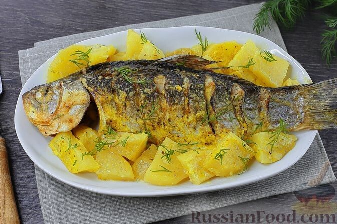 Вдохновение для кулинаров: удивительные рыбные рецепты, которые стоит попробовать