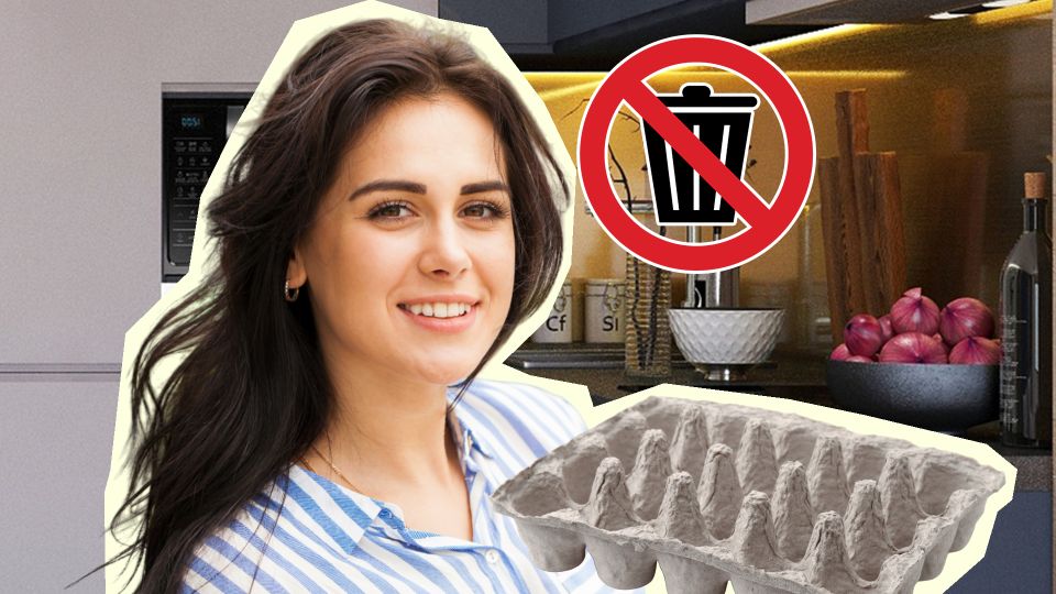 Не выбрасывайте лотки от яиц: в хозяйстве они на вес золота