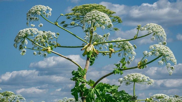 С 1 марта 2026 года владельцам земельных участков грозят серьезные штрафы
