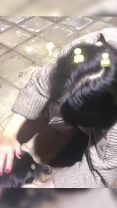 В Твери ЖК «Южный берег» бегает потерявшаяся собака