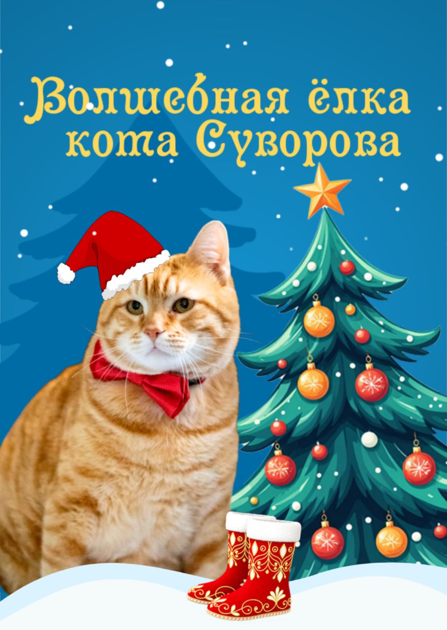 В Твери стартовала новогодняя акция в помощь животным "Волшебная ёлка кота Суворова и сапоги-скороходы", которую проводят волонтёры Инициативной группы по защите животных