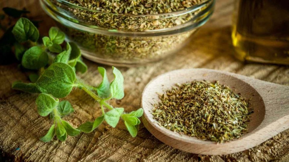 Душица: неожиданный антигриппозный источник из вашего сада