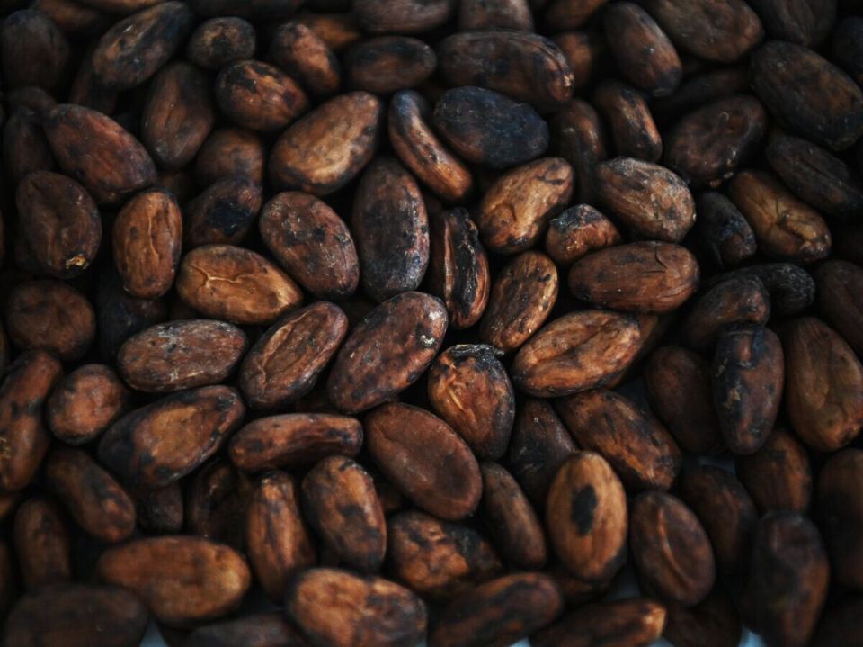 Какао-бобы: цены падают до исторического минимума