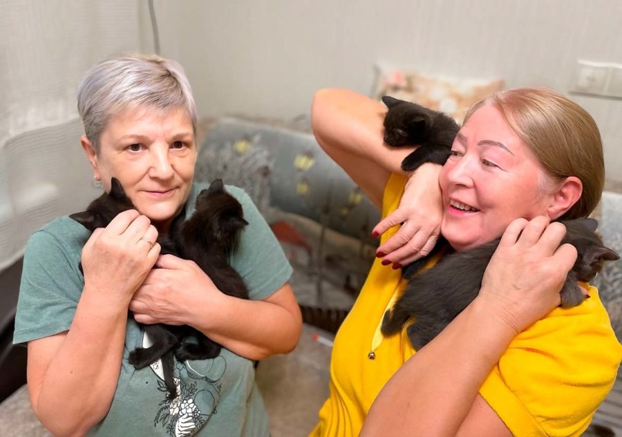 Тверские зооволонтеры подвели итоги проекта «Бабушка для кошки» Тверские зооволонтеры подвели итоги проекта «Бабушка для кошки»