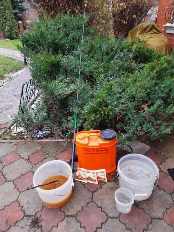 Сломался опрыскиватель? Вот что делать в экстренной ситуации на даче