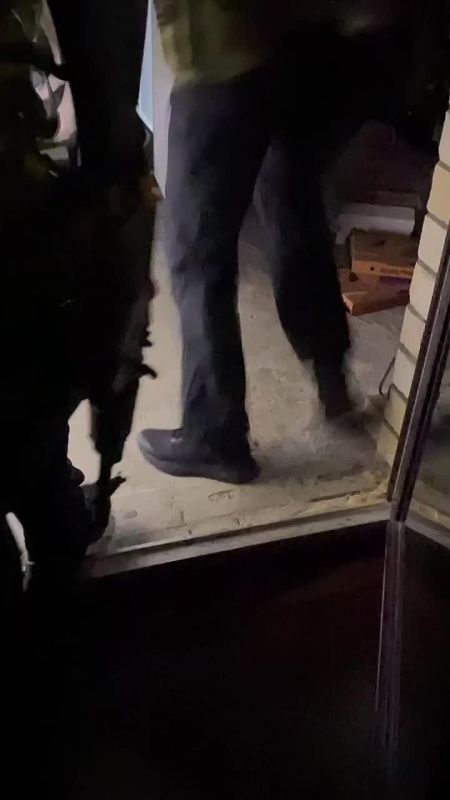 Жители Тверской области нарубили дров на 7 млн рублей