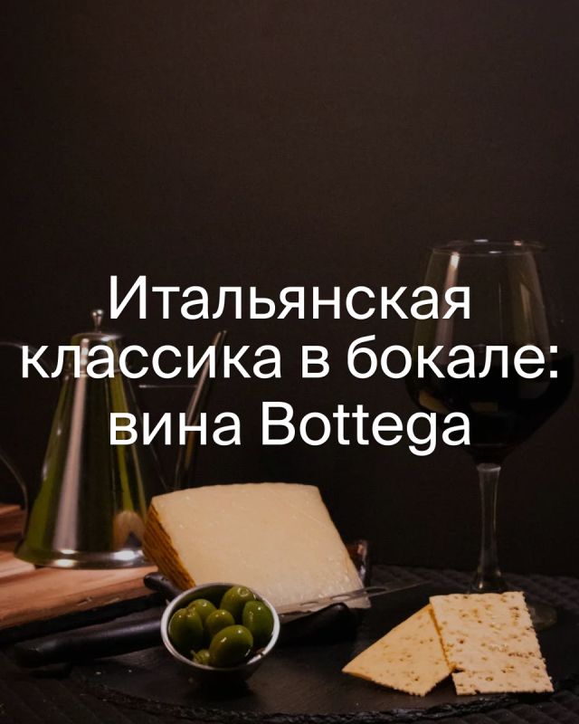 Итальянская винная классика: вино Bottega как символ традиций и качества