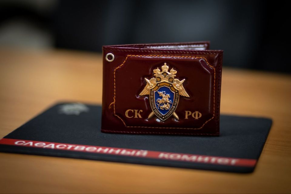 Жительница области признана виновной в совершении преступления против жизни