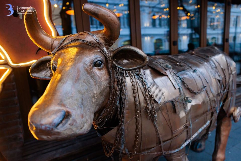 Подорожание и налоговые перемены: что ждет россиян в 2026 году?