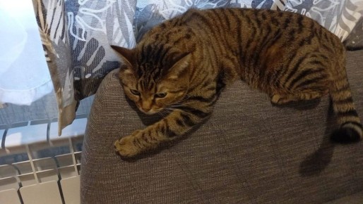 В Твери часть домов на время останется без отопления