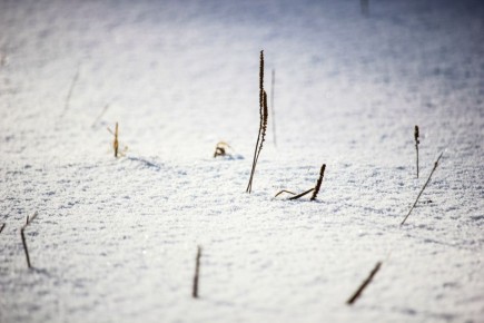 В Твери ожидается морозная неделя