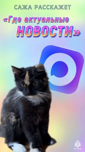 Пожарная кошка Сажа расскажет, где актуальные новости!