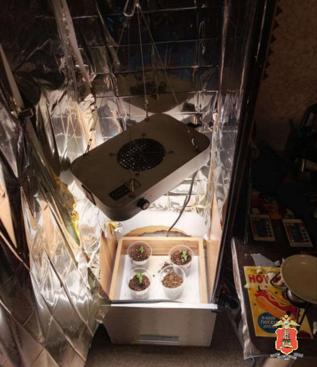 В Конакове полицейские задержали мужчину, который разводил у себя дома на продажу коноплю В Конакове полицейские задержали мужчину, который разводил у себя дома на продажу коноплю