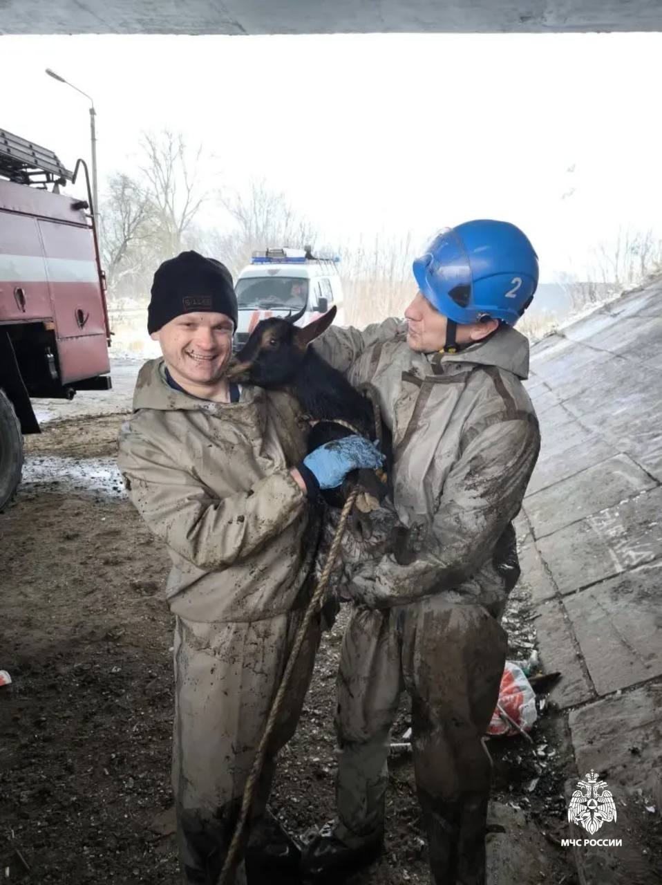 Неожиданное спасение под Восточным мостом в Твери! Неожиданное спасение под Восточным мостом в Твери!